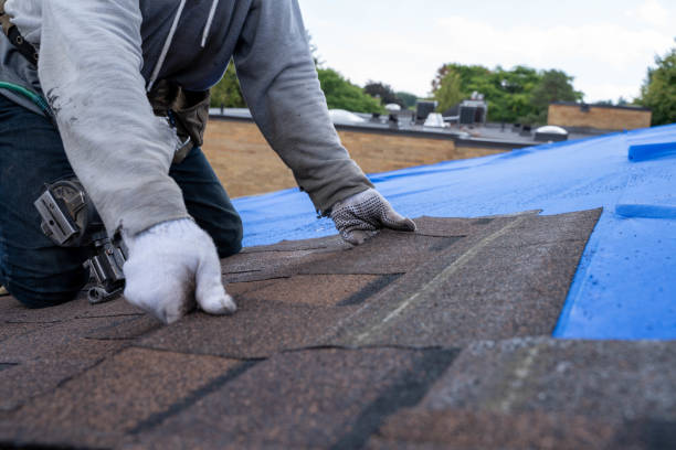 Best Roof Repair Services  in Cheree, OK