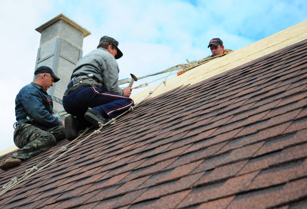 Best Roof Waterproofing Services  in Cheree, OK