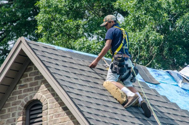 Best Roof Maintenance Services  in Cheree, OK